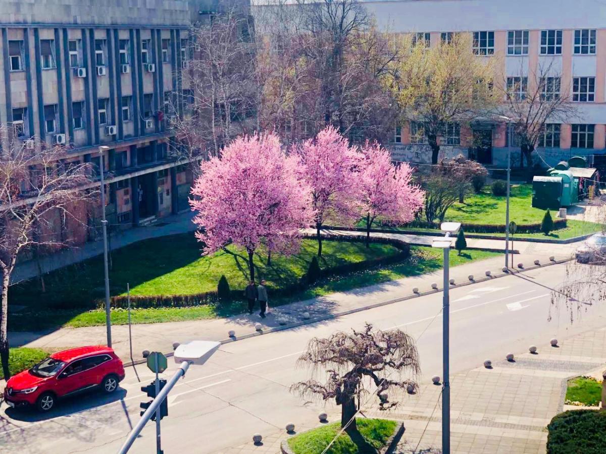 Bella Studios Крушевац Экстерьер фото